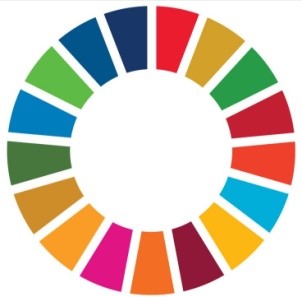 SDG1